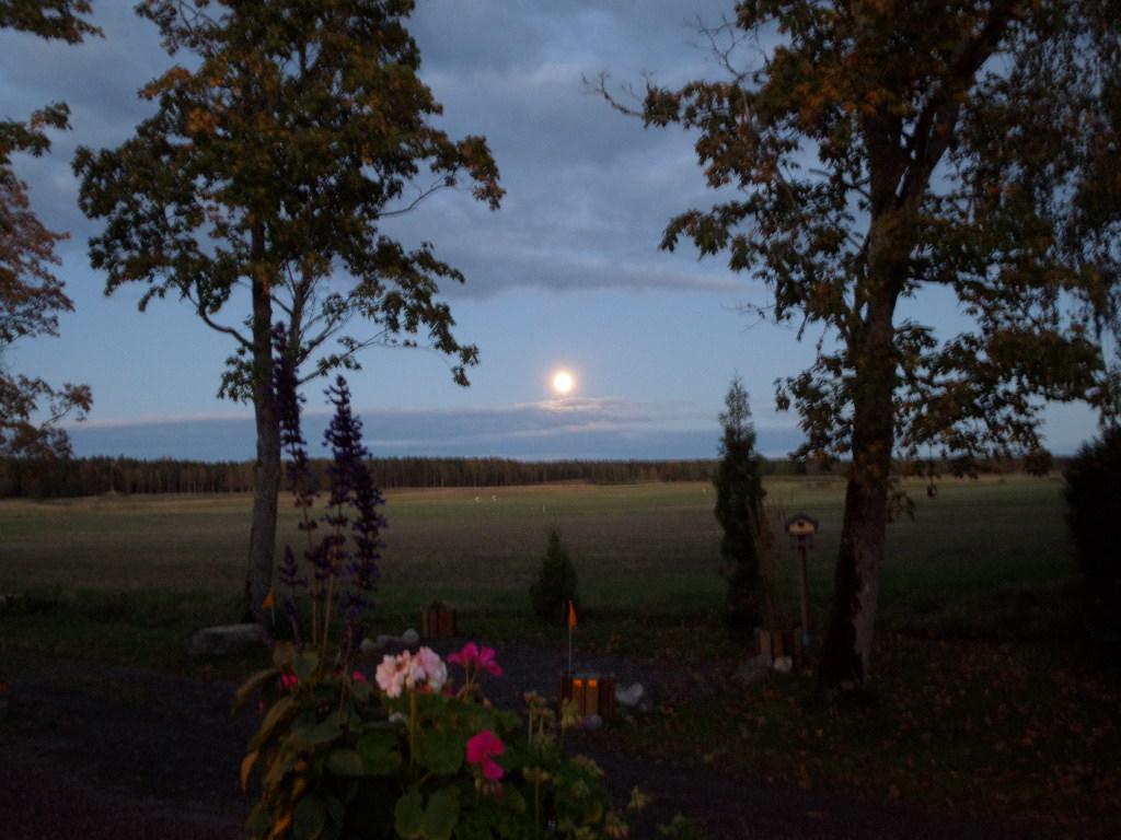 Skogis Bed & Breakfast Katrineholm Exterior photo
